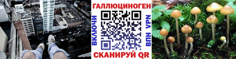 Галлюциногенные грибы мицелий  Купить закладки  Лермонтов 